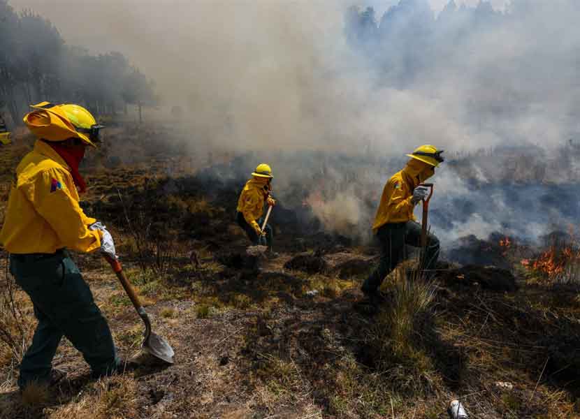 Se prevé que la temporada de incendios forestales concluya el 30 de junio. /  Foto: Cuartoscuro