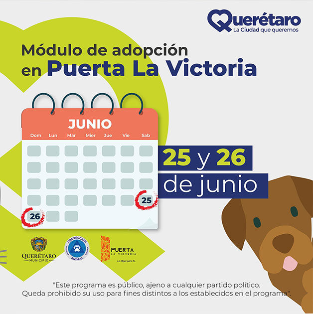 Adopta una mascota: Módulo llega a Paseo Querétaro este fin de semana
