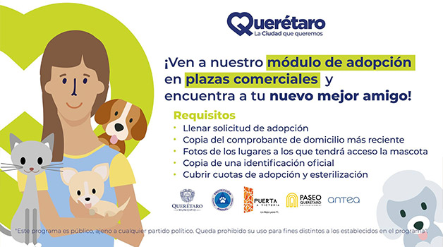el fin de semana del 18 al 19 de junio, el módulo de adopción estará colocado en la plaza comercial Paseo Querétaro