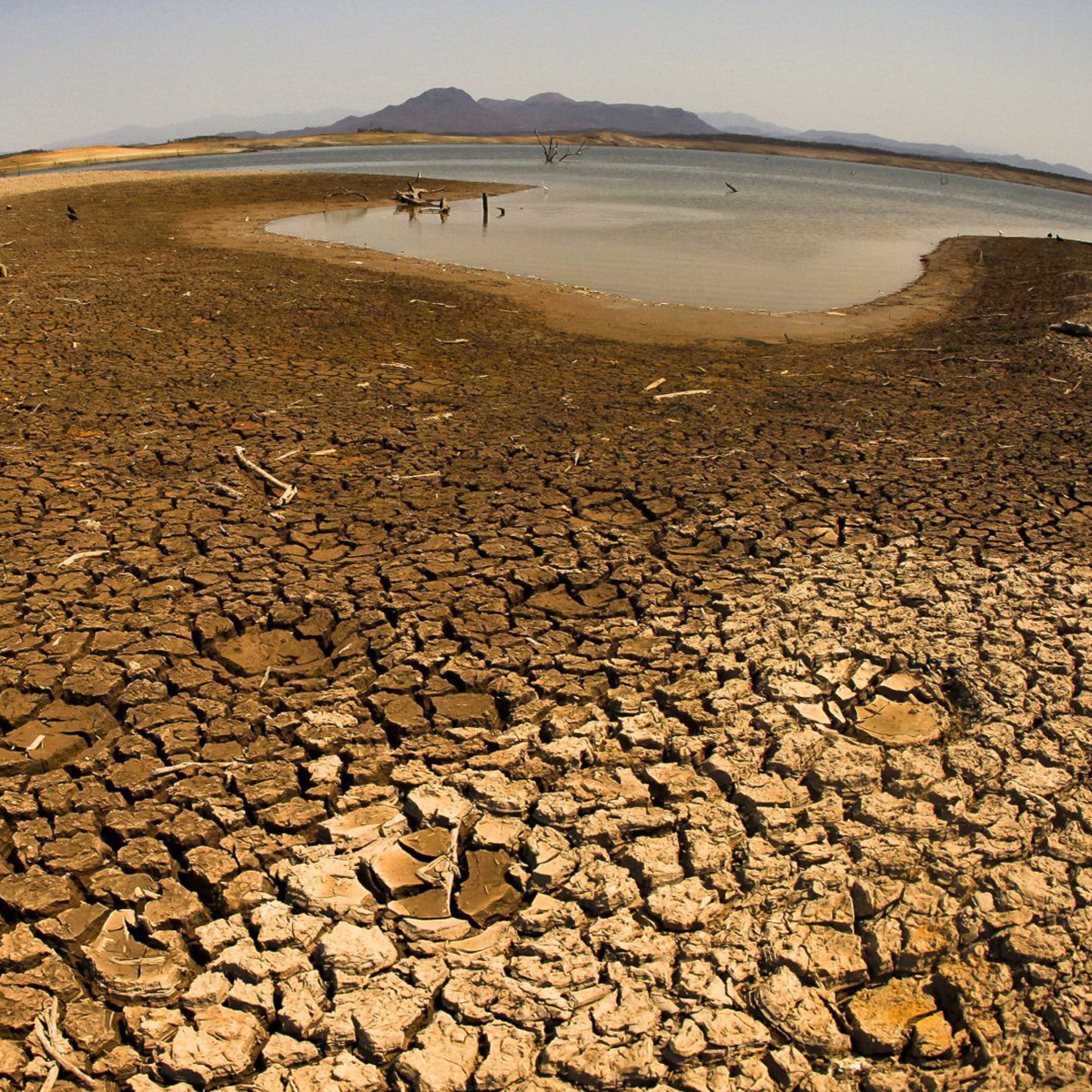 100% de municipios, en condición de sequía /Foto: Cuartoscuro