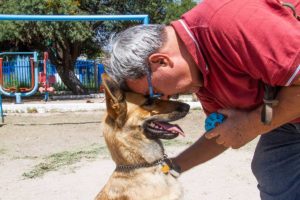Día Mundial del Perro: Recomendaciones para tener un “lomito”