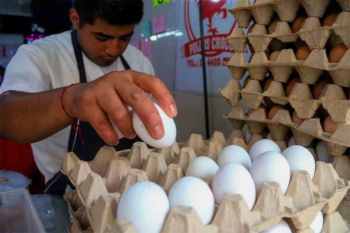 El precio del huevo subió: en estos estados rebasa los 100 pesos el kilo / Foto: Cuartoscuro