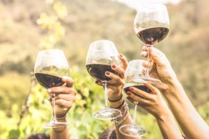 Vendimias en Querétaro 2023: calendario de actividades en viñedos