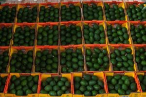 Aumenta 16% comercio agroalimentario entre México y EUA