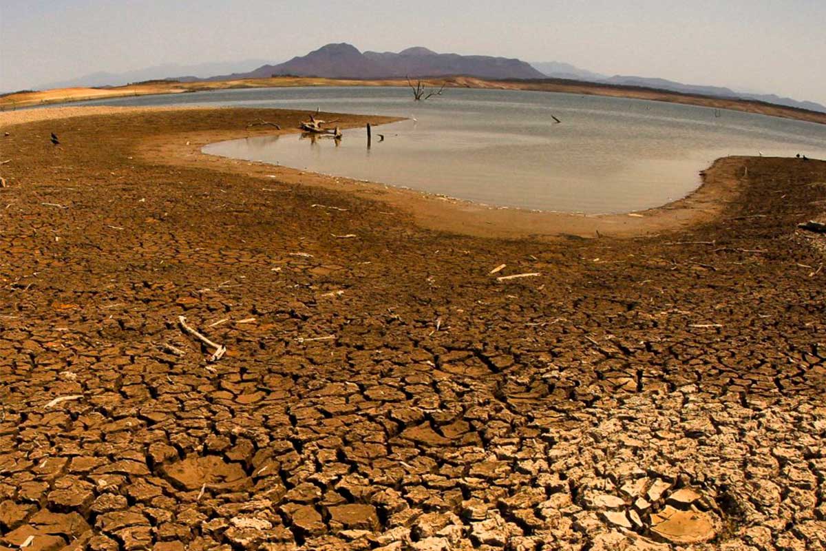Provocará cambio climático una crisis alimentaria en Querétaro / Foto: Cuartoscuro