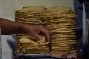 Se tendrá que analizar entrega de subsidio a las tortillas: Unión Ganadera Regional de Querétaro