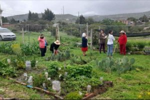 50 familias participan en el programa de Huerto Comunitario en Querétaro