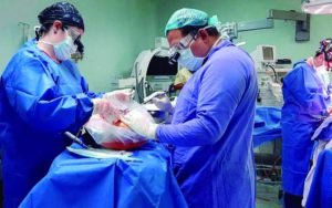 Querétaro registra este año 68 casos de donación de órganos
