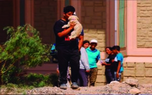 Estados Unidos niega asilo a 'Brandi', una perrita que México sí recibe