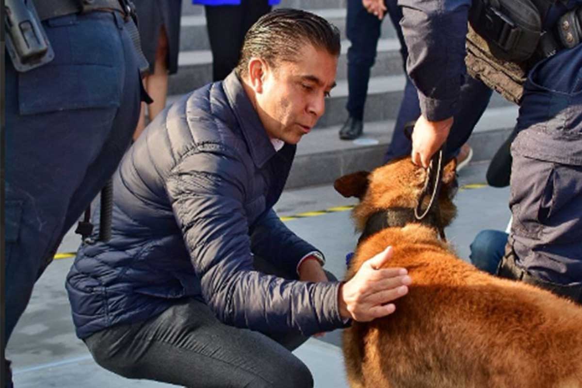 Elementos caninos culminan labor de servir y proteger a la ciudadanía en Corregidora 