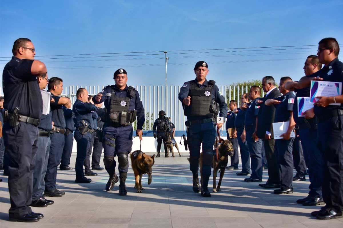 Elementos caninos culminan labor de servir y proteger a la ciudadanía en Corregidora/ Foto: Especial 