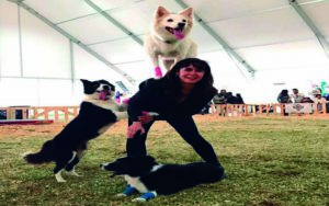 Regresa el Evento Canino Navideño en la Feria de Querétaro