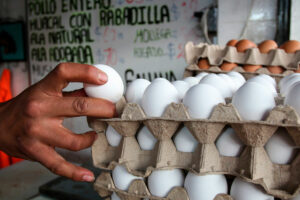 Inegi reporta disminución del 3.26 en el precio del huevo