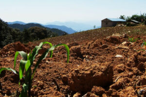 Cambio climático agrava la sequía en Querétaro/ Foto: Juan Carlos Machorro