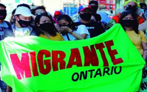 Liberan a 64 mexicanos de explotación laboral en Canadá