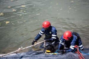 Rescatan a seis perros atrapados en cuerpo de agua de Querétaro