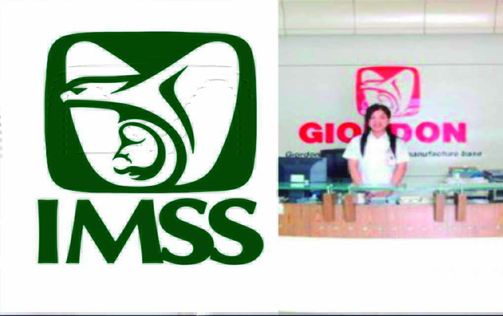 Esta es la empresa china que plagió el logo del IMSS