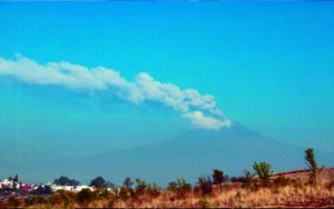 Cómo proteger a tus plantas de las cenizas del Popocatépetl