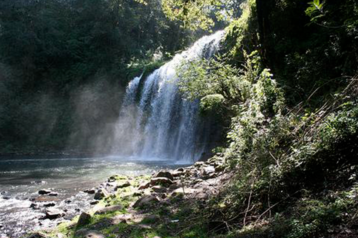 Cascada Chimalapa