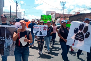 Realizan marcha en San Juan contra maltrato animal