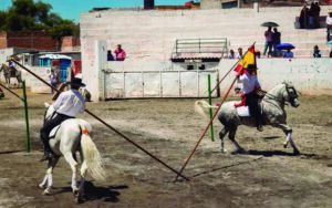 Caballos Domecq regresan a San Juan del Río