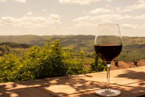 La ruta del vino: las mejores ciudades para hacer industria vitivinícola en el país
