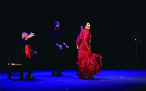 Gala Flamenco de Raíz celebra trayectoria de bailaores en Festival Ibérica