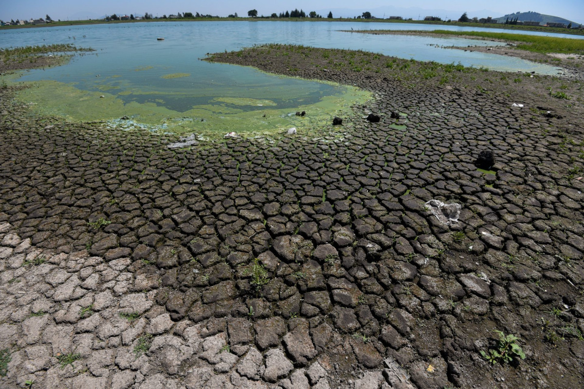 Estado, en riesgo por estrés hídrico: Unesco/Foto: Cuartoscuro