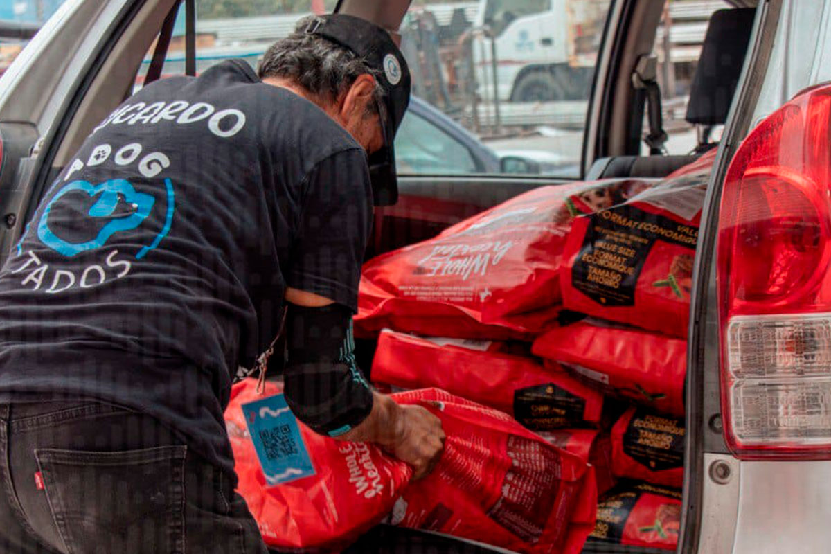 Fiscalía de Querétaro dona alimento para perros, que fueron decomisados / Foto: Fiscalía 