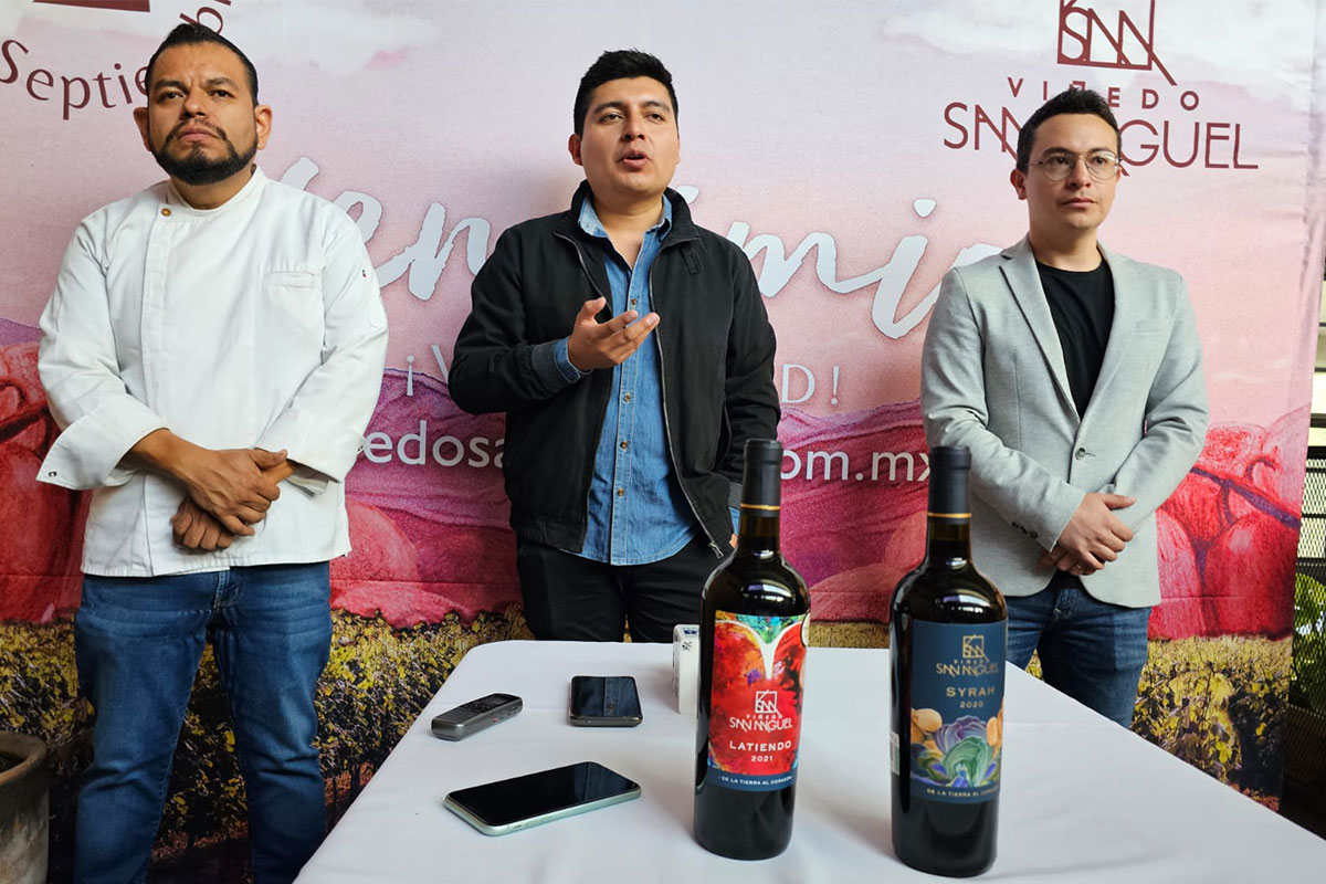 Invitan a queretanos a vendimias en Guanajuato / Foto: Armando Vázquez 