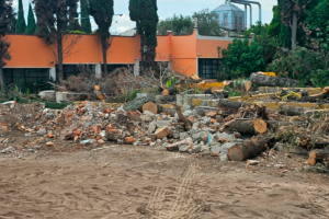 Clausuran obra en San Juan del Río por tala de árboles