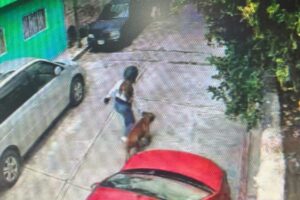 Pitbull ataca a niño de cinco años en Morelos