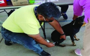 Alista SESA Vacunación Antirrábica Canina y Felina 2023