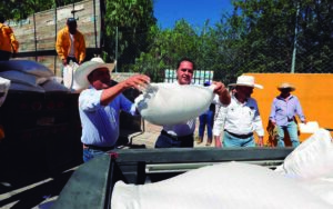 Concluye SEDEA programa emergente de semilla en Querétaro