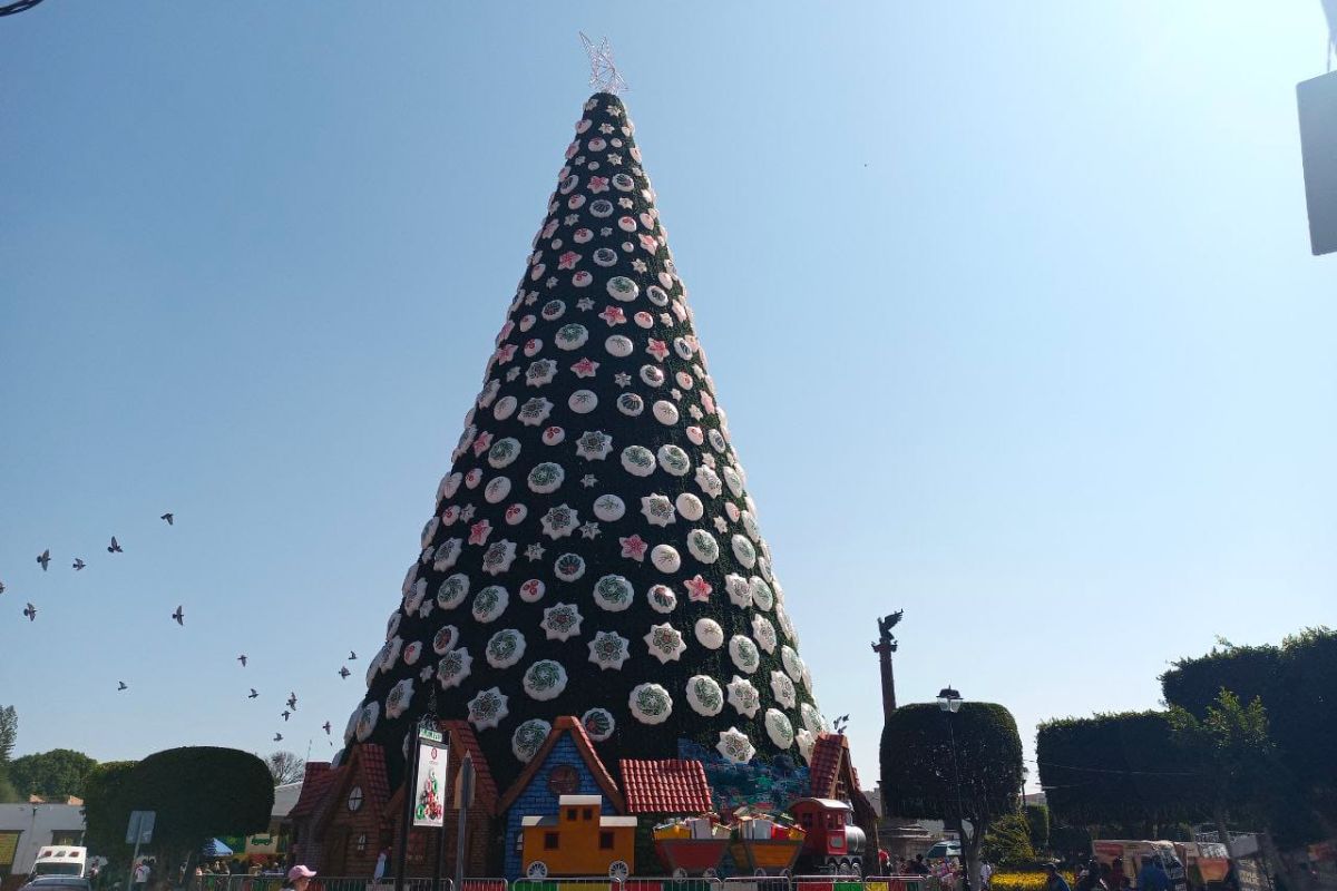 Consideran colocar de nuevo el árbol monumental en Jardín Independencia. / Fotografía: Jena Guzmá