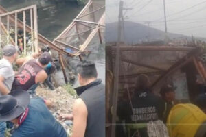 Rescatan a perrito tras desplome de puente en Edomex