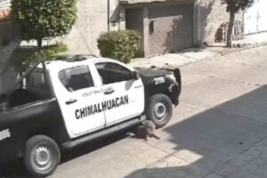 Policías que atropellaron a ‘Peluche’ son separados de su cargo