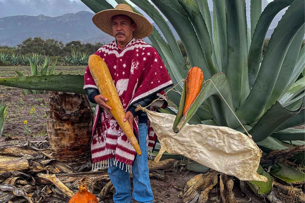 Boyé, orgullo del pulque en el estado de Querétaro