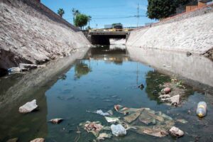 Realizan proyectos para descontaminar el agua en UNAM Juriquilla