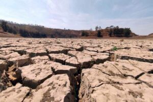 Cinco municipios en Querétaro tienen grado excepcional de sequía