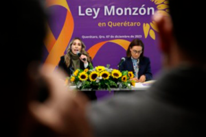 ¿Qué es la ‘Ley Monzón’, presentada por Andrea Tovar?