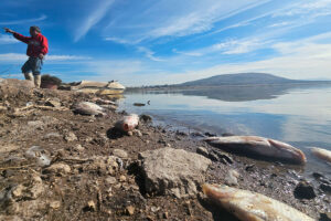 Conagua reporta cuatro presas secas en Querétaro