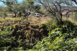 Municipio de Querétaro buscará socializar proyecto del parque 'La Queretana'