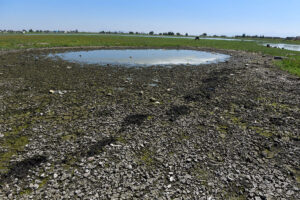 Prevalece sequía en 14 municipios /Foto: Cuartoscuro