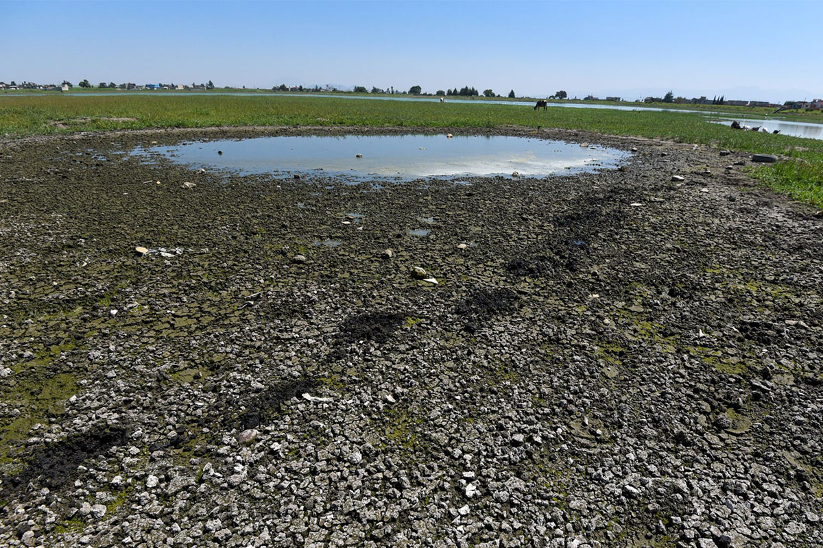 Prevalece sequía en 14 municipios /Foto: Cuartoscuro