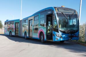 Ruta T01 de Qrobús incorpora 15 nuevas unidades