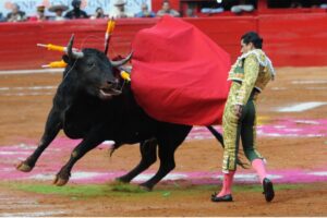 Suspenden nuevamente corridas de toros en la Plaza México