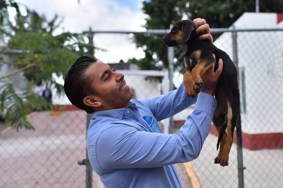 Dan en adopción a 100 animales de compañía rescatados en Corregidora
