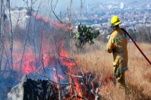 Hay seis brigadas de atención a incendios forestales en diversos puntos del estado.