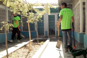 Impulsa El Marqués la protección animal en Querétaro